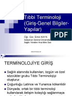 Terminoloji PDF