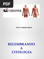 Anatomia Introdução