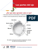 Partes Del Ojo