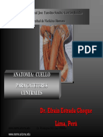 Anatomia Del Cuello-para Cateteres Centrales
