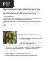 Download Cara Budidaya Buah Nangka by Riki Saputraariadi SN307591827 doc pdf
