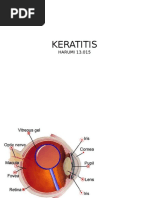 Download Keratitis by mulkihakam21 SN307597270 doc pdf