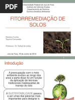 Fitorremediação de Solos 1S2014