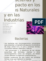 Las Bacterias y El Medio Ambiente