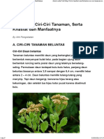 Khasiat Daun Beluntas PDF