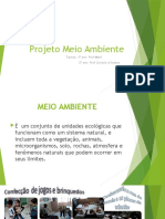 Projeto Meio Ambiente.pptx