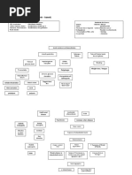 B. Pathophysiology A) Schematic Diagram (Book - Based) : Wasting Blood Glucose Level