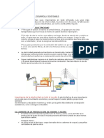 Resumen Uso Del Carbon y Desarroollo Sostenible