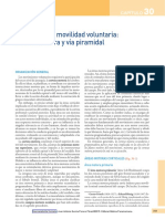 Neuroanatomía Humana.pdf