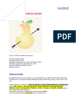 CorelDraw - CursPractic - Curbe Si Linii