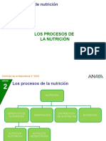 Proceso de La Nutricion