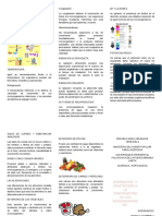 Triptico Microbiologia