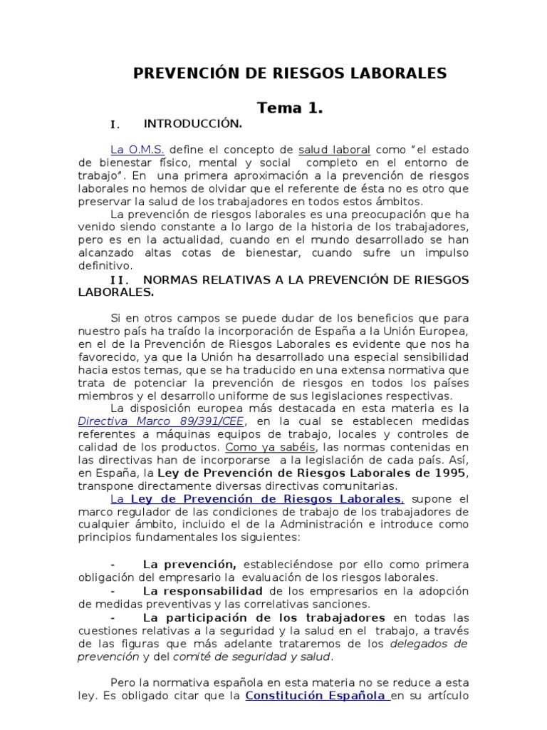 Tema PREVENCIÓN DE RIESGOS | PDF | Derecho laboral | Seguridad y salud ...