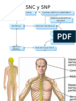 unidadunoneuro-120419062702-phpapp02.pptx