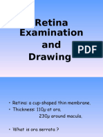 Retina Examination and Drawing