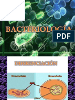 Bacteriología PDF