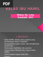 Download Kelas Ibu Hamil by Shoraya Nila SN307764853 doc pdf