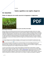 Adapta - 2011 - Adapta Pesquisa Plantas Aquáticas Em Regiões Alagáveis Da Amazônia Modos de Adaptação São Testados Em Níveis de Alagamen