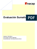 Evaluacion Sumativa 1_Final (1)
