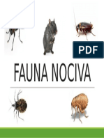 FAUNA NOCIVA.pptx