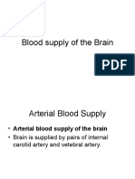 Blood Supply of the Brain
