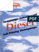 Cadoppi Motopompe Diesel