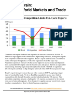 US Corn Exports Face Competition from Record South American Shipments