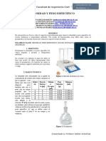 Informe Densidad 