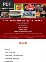 Apresentação-Bombril