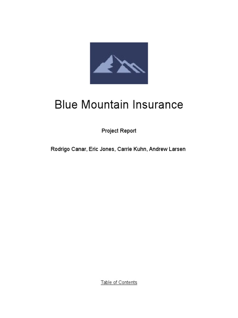 Blue Mountain Insurance Marketing Strategy | PDF | Social Media ...