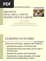 Download Fetal Skull and Its Significant in Labor by azida90 SN307925225 doc pdf