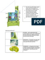 Cell Structure of Plant Cell