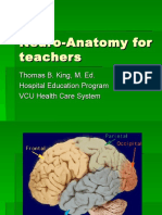 Neuro-Anatomy Guide for Educators