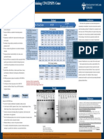 research problems poster