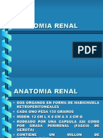 Anatomía y Fisiología Renal