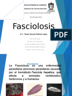 exposición fasciolosis 