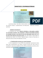 DERMATO - DERMATOSES ZOOPARASITÁRIAS