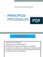 Principios Procesales Peru