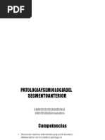 Modulo Tinción CORNEAL