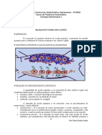 Mastectomia Em Canino