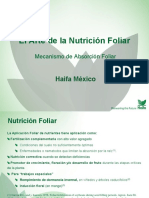 Nutricion Foliar Presentation