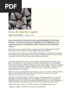2020 3) Fenahuyluspazo | PDF