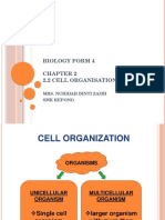 Chapter 2 - 2.2 Cell Organisation