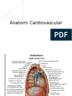 1. Anatomi Cardiovascular