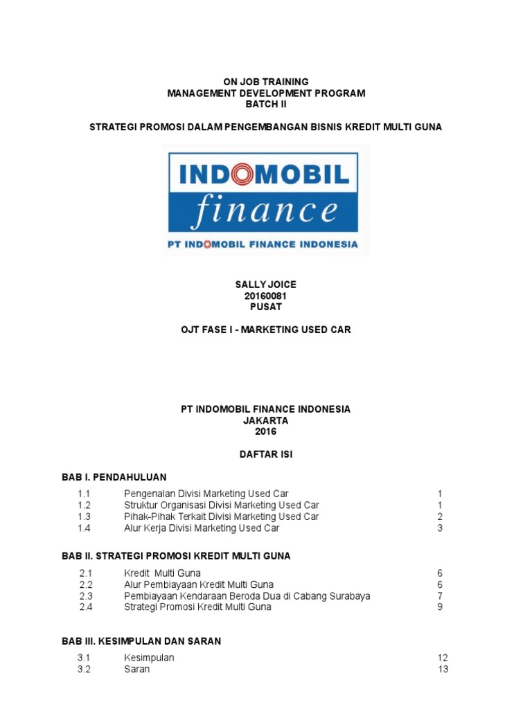 Mini Report Used Car