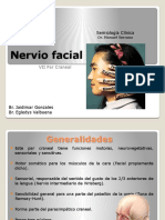 nervio facial