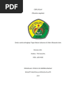 Download MAKALAH CEPLUKAN by Yosi Klub Teroriz SN308133264 doc pdf