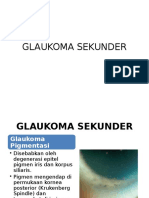 Glaukoma Sekunder Nofa Lida
