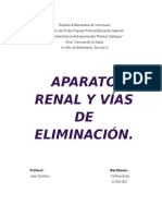 Sistema Renal2