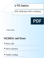 M-MGW Basics